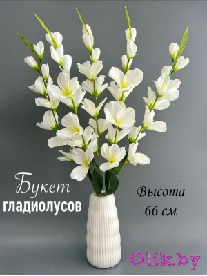 Букет гладиолусов 5 веток, 66 см, белый