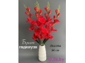 Букет гладиолусов 5 веток, 66 см, красный