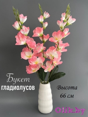 Букет гладиолусов 5 веток, 66 см, розовый