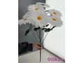 Букет ромашек 7 голов, 70 см