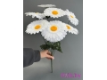 Букет ромашек 7 голов, 58 см