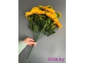 Букет подсолнухов 13 голов, 50 см