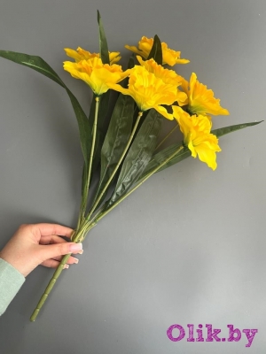 Букет нарциссов 7 голов, 50 см, желтый-зеленый