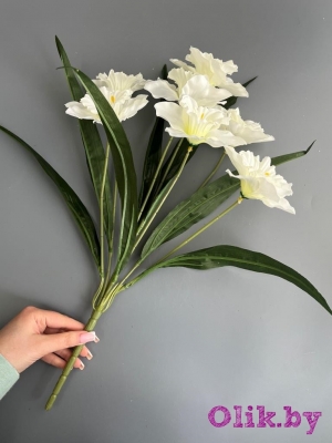 Букет нарциссов 7 голов, 50 см, белый