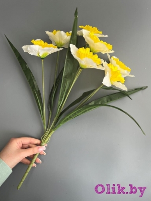 Букет нарциссов 7 голов, 50 см, белый-желтый