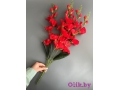 Букет гладиолусов 5 веток, 66 см, красный
