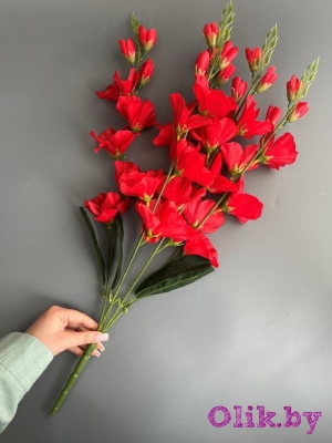 Букет гладиолусов 5 веток, 66 см, красный