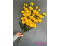 Букет гладиолусов 5 веток, 66 см, желтый