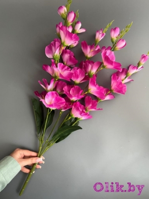 Букет гладиолусов 5 веток, 66 см, сиреневый