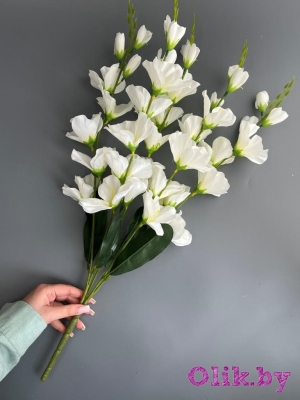 Букет гладиолусов 5 веток, 66 см, белый