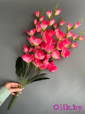 Букет гладиолусов 5 веток, 66 см, малиновый