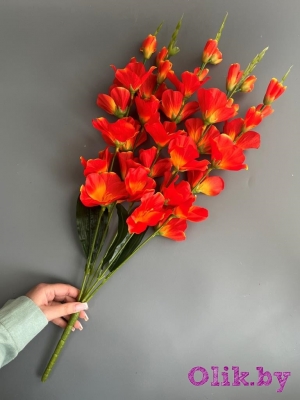 Букет гладиолусов 5 веток, 66 см, оранжевый