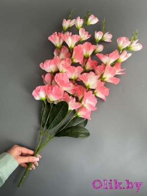 Букет гладиолусов 5 веток, 66 см, розовый