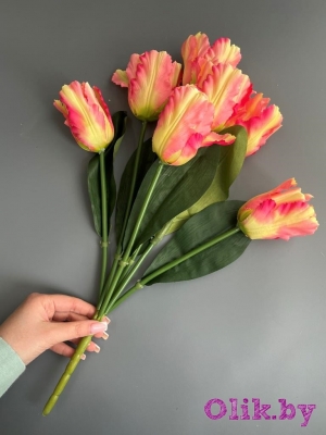 Букет тюльпанов 7 голов, 50 см, розовый
