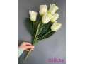Букет тюльпанов 7 голов, 50 см, белый
