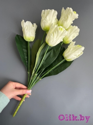 Букет тюльпанов 7 голов, 50 см, белый