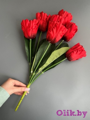 Букет тюльпанов 7 голов, 50 см, красный