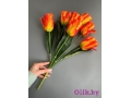Букет тюльпанов 7 голов, 50 см, оранжевый