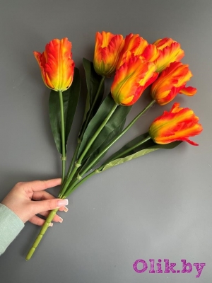 Букет тюльпанов 7 голов, 50 см, оранжевый