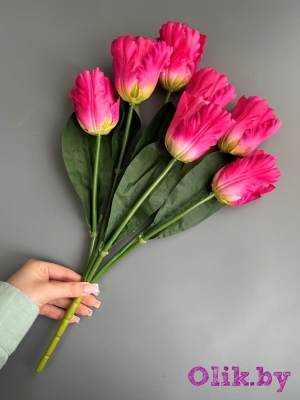 Букет тюльпанов 7 голов, 50 см, малиновый