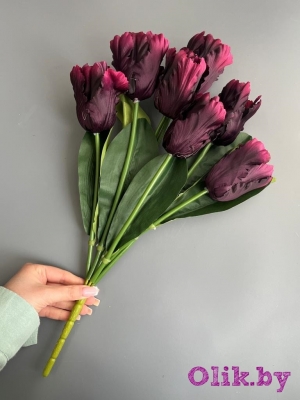 Букет тюльпанов 7 голов, 50 см, темно-сиреневый