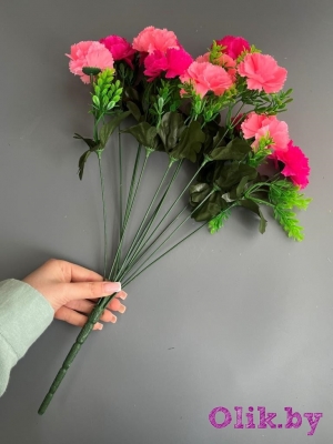 Букет гвоздики 12 веток, 49 см, розовый-фуксия