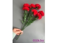 Букет гвоздики 7 веток, 40 см, красный