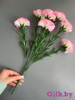 Букет гвоздики 7 веток, 40 см, бело-розовый