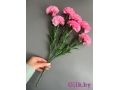 Букет гвоздики 7 веток, 40 см, розовый
