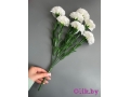 Букет гвоздики 7 веток, 40 см, белый