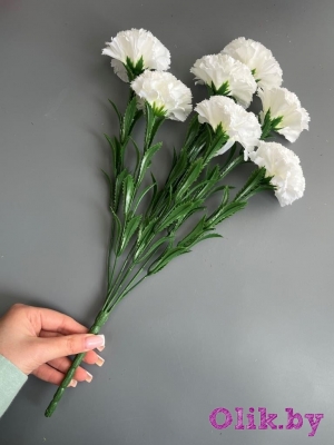 Букет гвоздики 7 веток, 40 см, белый