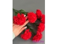 Букет гвоздики 7 веток, 40 см, красный