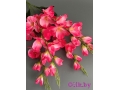 Букет гладиолусов 5 веток, 66 см, малиновый