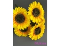 Букет подсолнухов 5 голов, 45 см