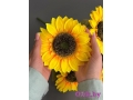 Букет подсолнухов 5 голов, 45 см