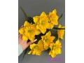Букет нарциссов 7 голов, 50 см, желтый-зеленый
