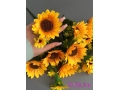 Букет подсолнухов 13 голов, 50 см