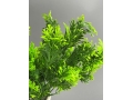 Букет зелени 5 веток, 36 см, зеленый