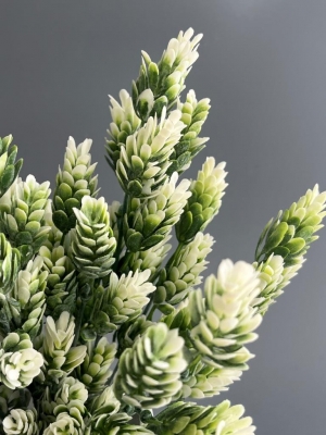 Букет зелени, 31 см, белый, 1 шт