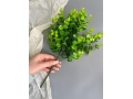 Букет зелени 7 веток, 34 см, зеленый