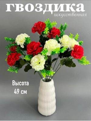 Букет гвоздики 12 веток, 49 см, белый-красный