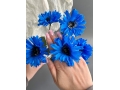 Ветка в букете василек 6 голов, 34 см, синий, 3 шт