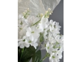 Ветка в букете сирень 5 веток, 34 см, белый