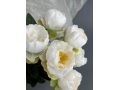 Ветка в букете пион 6 голов, 30 см, белый