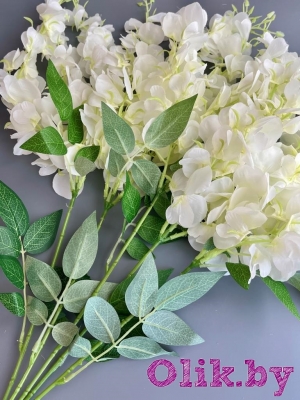 Ветка в букете глициния 5 веток 15 голов, 75 см, белый