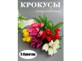 Букет крокуса 7 голов, 21 см, микс, 5 шт