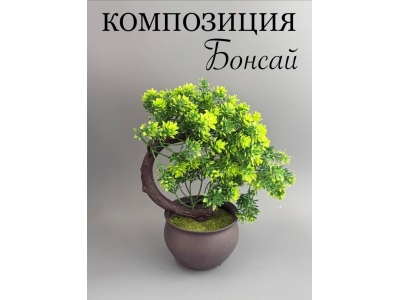 Композиция бонсай в кашпо зеленый, 20 см, 1 шт Композиция бонсай в кашпо зеленый, 20 см, 1 шт