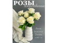 Букет бутон роз 6 голов, 40 см, кремовый