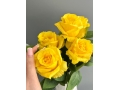Букет бутон роз 6 голов, 40 см, желтый