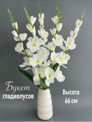 Букет гладиолусов 5 веток, 66 см, белый